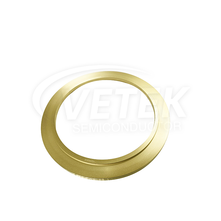 CVD Tac coating Orbis
