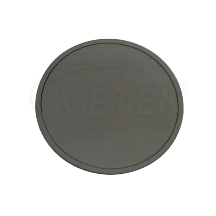 Sic coating paro discus