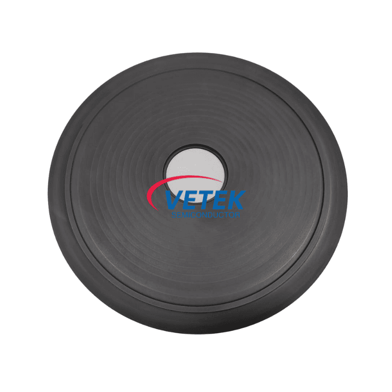 Silicon carbide coating lagae possessor