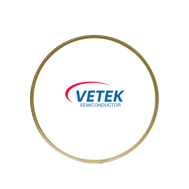 TaC Coated Graphite Wafer Cover Orbis